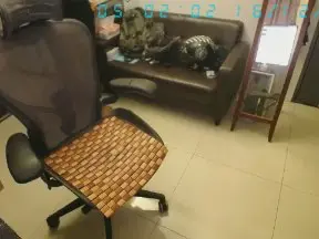 Cam4 Adult Webcams of m0909753