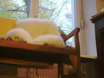 Cam4 Free Live Porn of Morningwixer