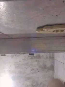 Cam4 Adult Webcams of Anny_y0_