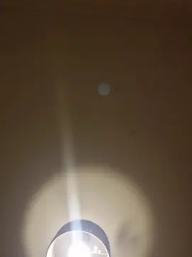 Cam4 Live Sex Cam of Naughtyvirgin22