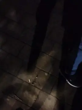 Cam4 Free Live Porn of Sexylatinogay