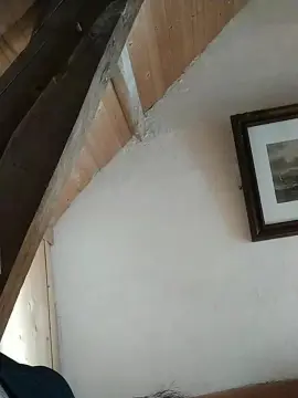 Cam4 Free Live Porn of Verniante