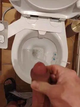 Cam4 Live Sex Cam of Timidement