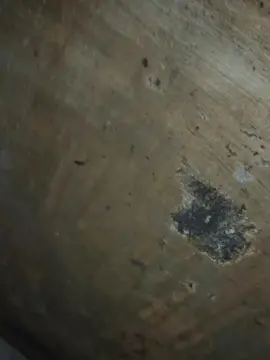 Cam4 Adult Webcam of henrique1950