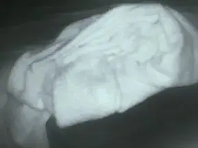 Cam4 Adult Video Chat of jc83170