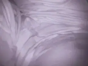 Cam4 Free Porn Cam of jc83170