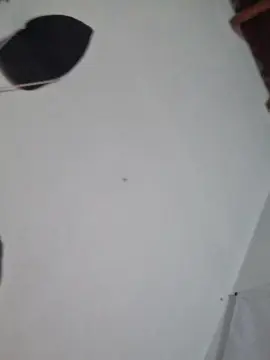 Cam4 Best Webcam of 400Paisax