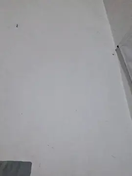 Cam4 Free Porn Cam of 400Paisax