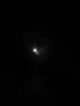 Cam4 Private Sex Chat of Petitcheff