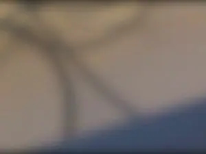 Cam4 Adult Webcams of 2dudes4cam