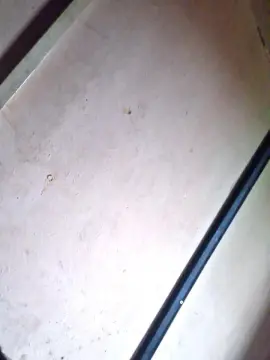 cristianjavier3 from cam4