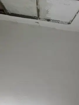 Cam4 Private Sex Chat of richab2