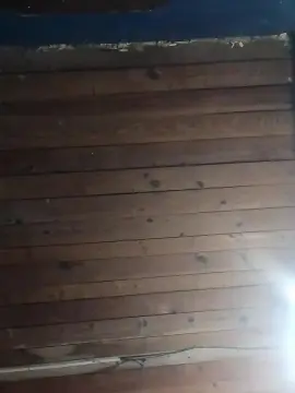 Cam4 Free Porn Cam of pitochico38