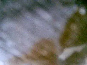 Cam4 Sex Cam of Ton_da_Ka