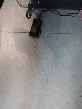 Cam4 Free Porn Cam of Bearpalermo