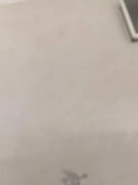 Cam4 Live Sex of Oliveratudoteu