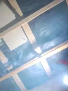 Cam4 Private Sex Chat of Nuevo69