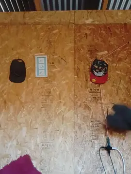 Cam4 Best Webcam of Nuevo69