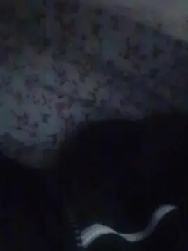 Cam4 Adult Webcams of Nuevo69