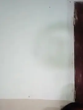 Cam4 Live Sex Cam of Gibea45