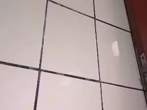 Cam4 Adult Webcams of KauAyra