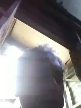 Cam4 Adult Webcams of Gustavo27911972