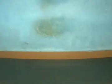 Cam4 Best live sex cam show of mechmu09