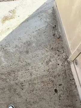 Cam4 Best live sex cam show of lucapublic