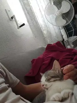 Cam4 Private Sex Chat of Tupapalarga