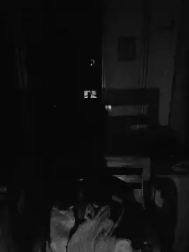 Cam4 Private Sex Chat of brunasissydoll