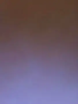 Cam4 Private Sex Chat of Riley73842