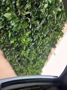 Cam4 Watch Live Sex Cams of Manusavona33