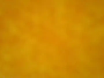 Cam4 Watch Live Sex Cams of felipe691960