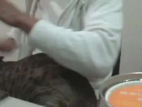 Cam4 Live Sex of QWQ1979