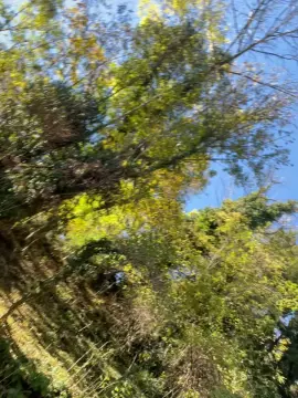 Cam4 Live Sex of darkbrey777