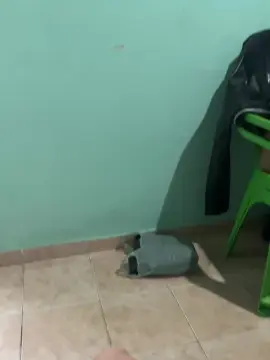 Cam4 Free Live Porn of NoPrivadoO