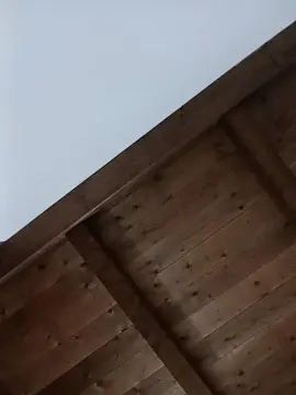 Cam4 Watch Live Sex Cams of gonzolone5