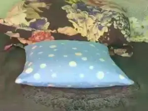 Cam4 Best live sex cam show of blackapple_xxx