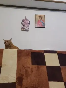 Cam4 Best live sex cam show of hardboyxxx_hot