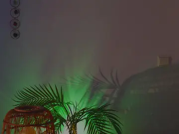 Cam4 Sex Chat of Anabel_curvy