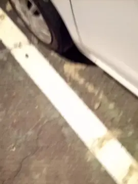 Cam4 Adult Video Chat of avalarf