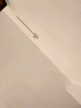 Cam4 Nude Webcam of Elnene1995