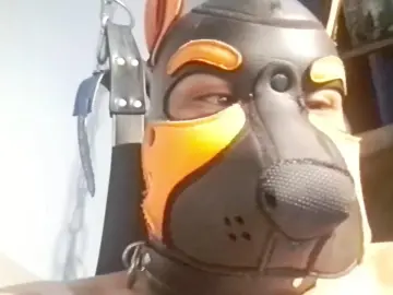 Cam4 Free Live Porn of PupBruto