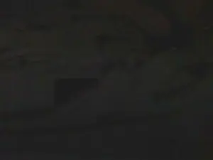 Cam4 Best Webcam of bean688