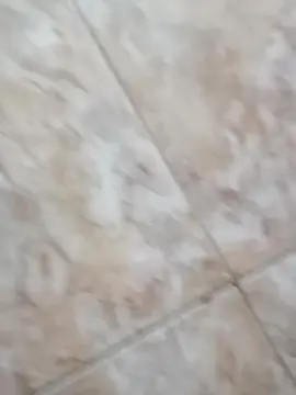 Cam4 Free Live Porn of antonella228