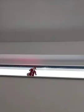 Cam4 Sex Chat of camsau231