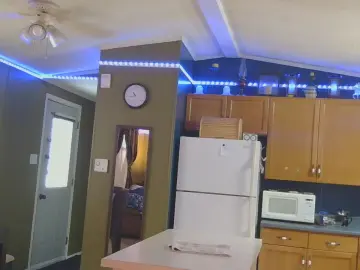 Cam4 Adult Webcam of mapleman35