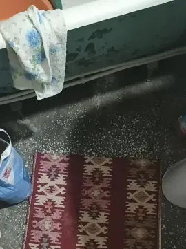 Cam4 Free Live Porn of singuraticul33