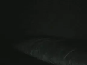 Cam4 Free Live Porn of Jovensinmiedo