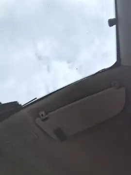 Cam4 Sex Chat of Vidalgo